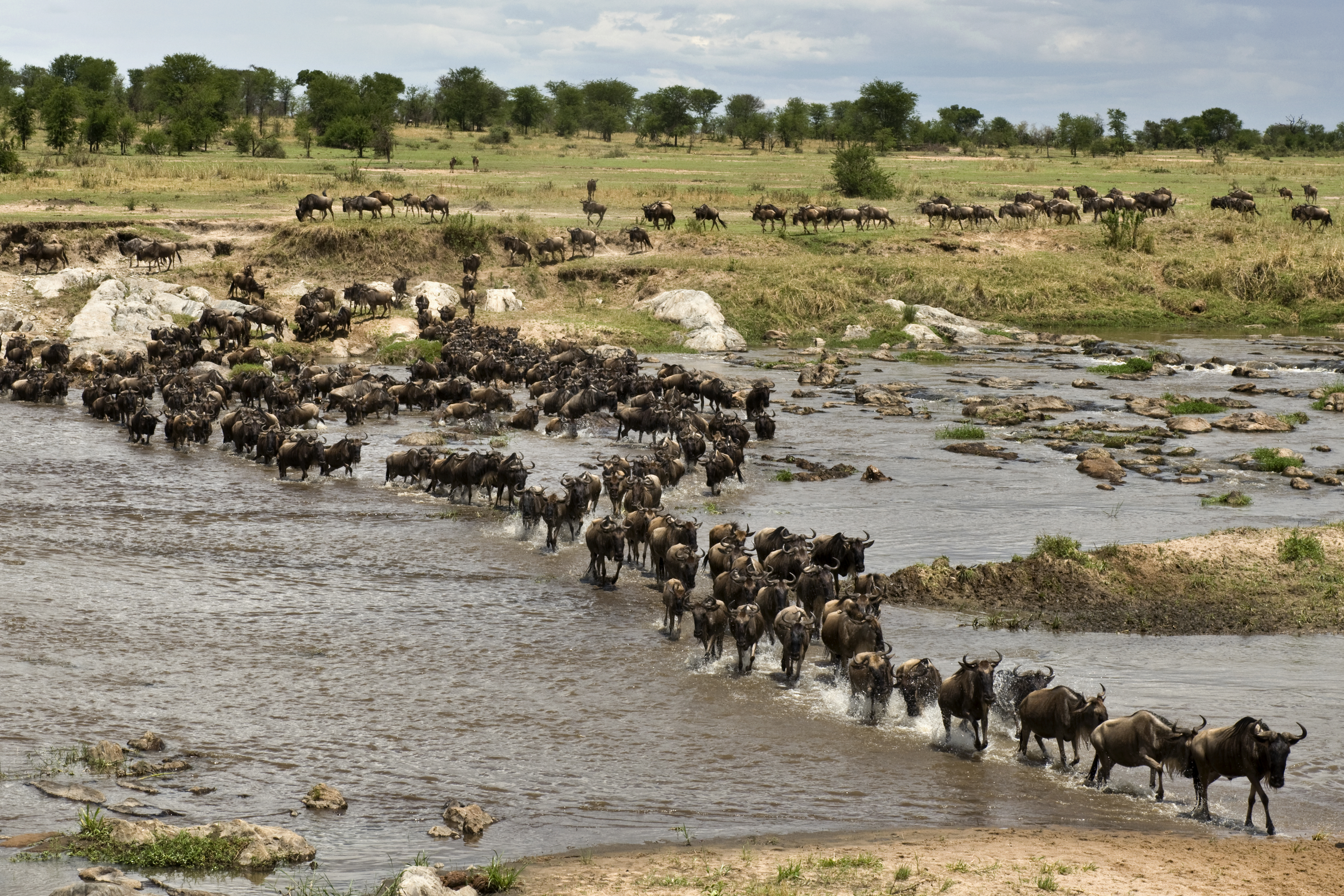 Tanzania: Great Northern Circuit